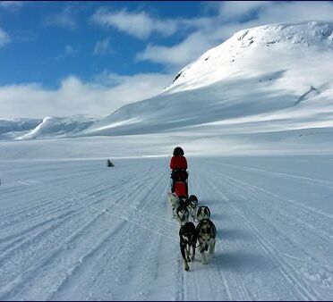 Husky Experience Week: Your personal winter dream © Huskycamp Gasa